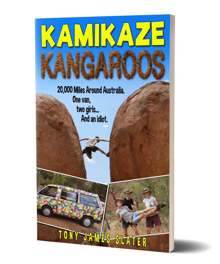Kamikaze Kangaroos Cover 3D