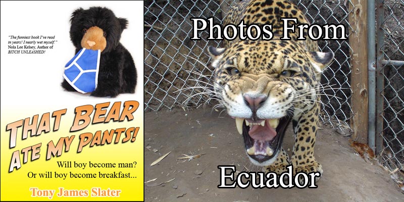 Ecuador Photo Gallery