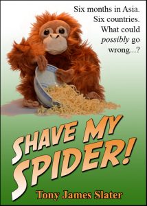 Shave My Spider