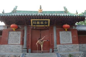 Shaolin-Tony-kicking-high