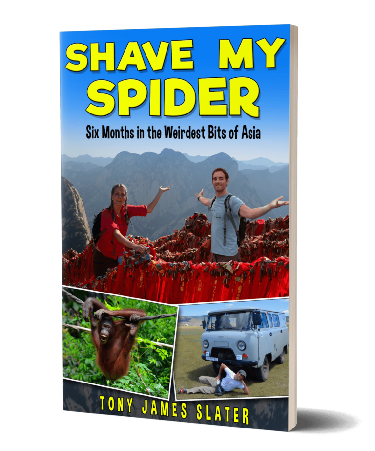 Shave My Spider Cover 3D