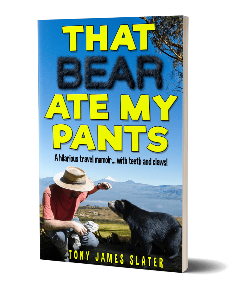 That Bear Ate My Pants Cover 3D