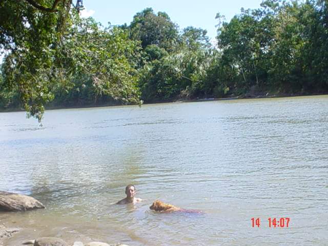 Swimming in Amazon